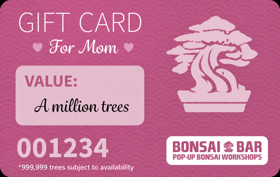 Gift Cards  Bonsai Bar