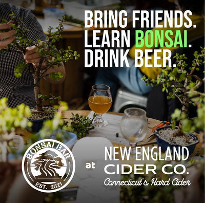 New England Cider Co.