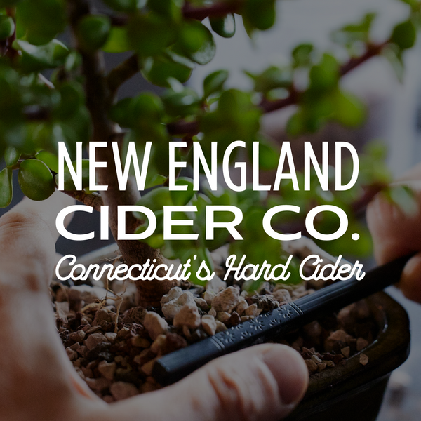 Connecticut Bonsai Bar