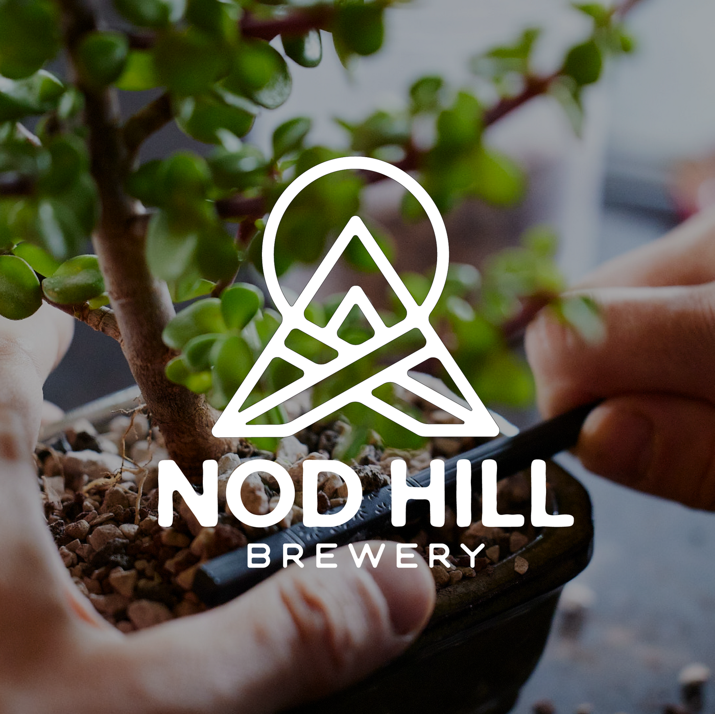 Nod Hill Brewery
