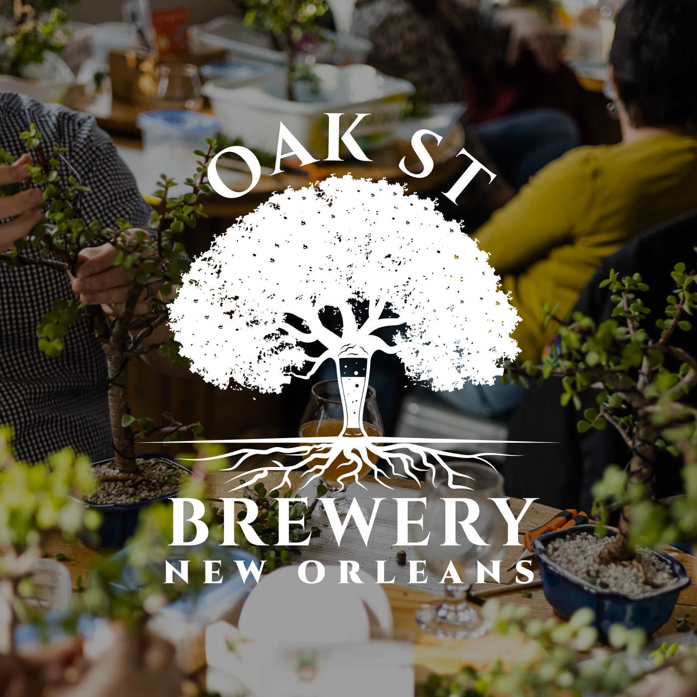 Oak Street Brewery