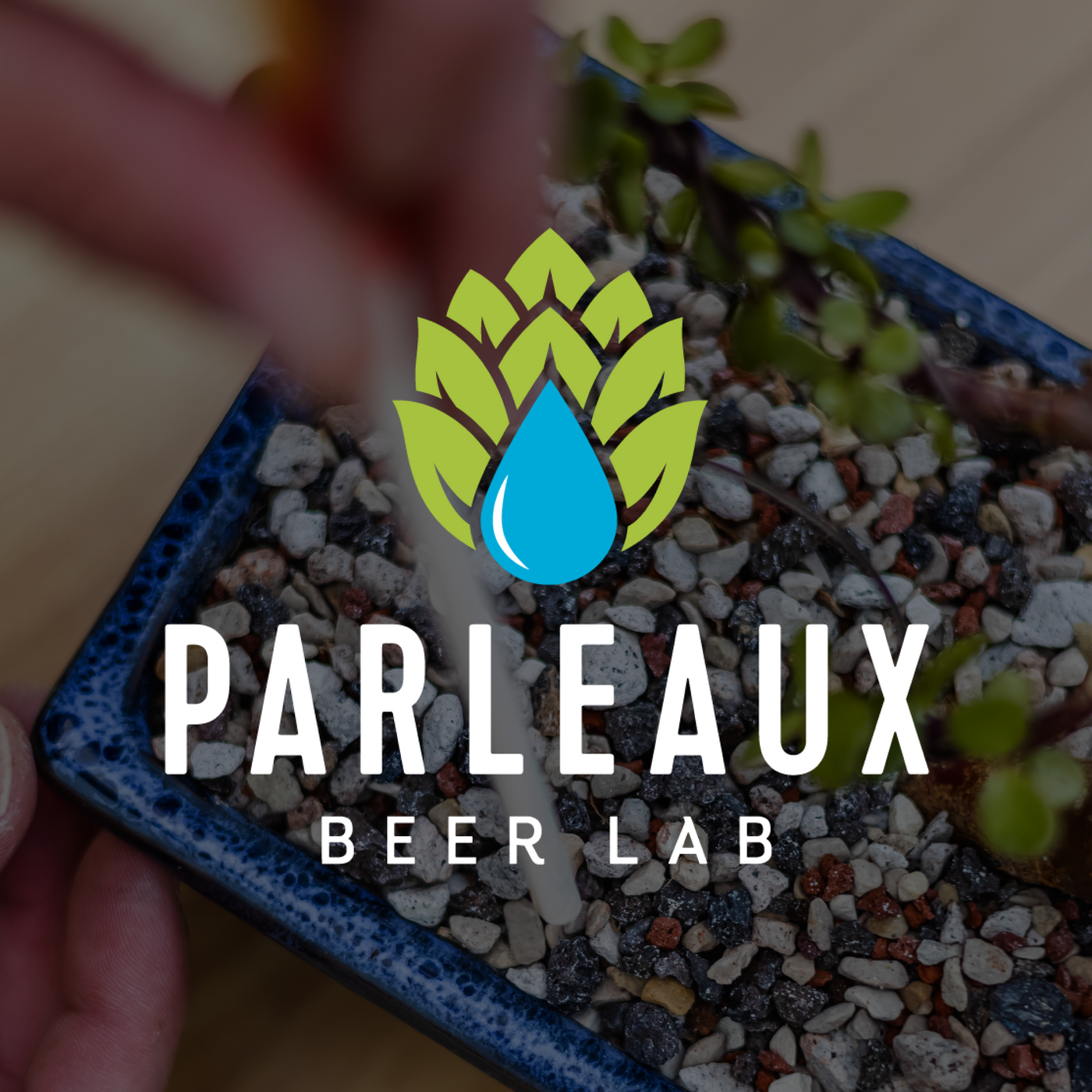 Parleaux Beer Lab