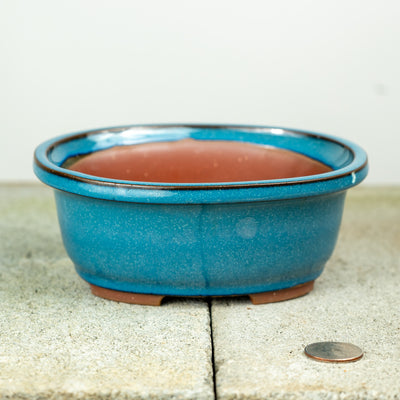 a small oval pot with the "peacock" teal glaze from willow bonsai