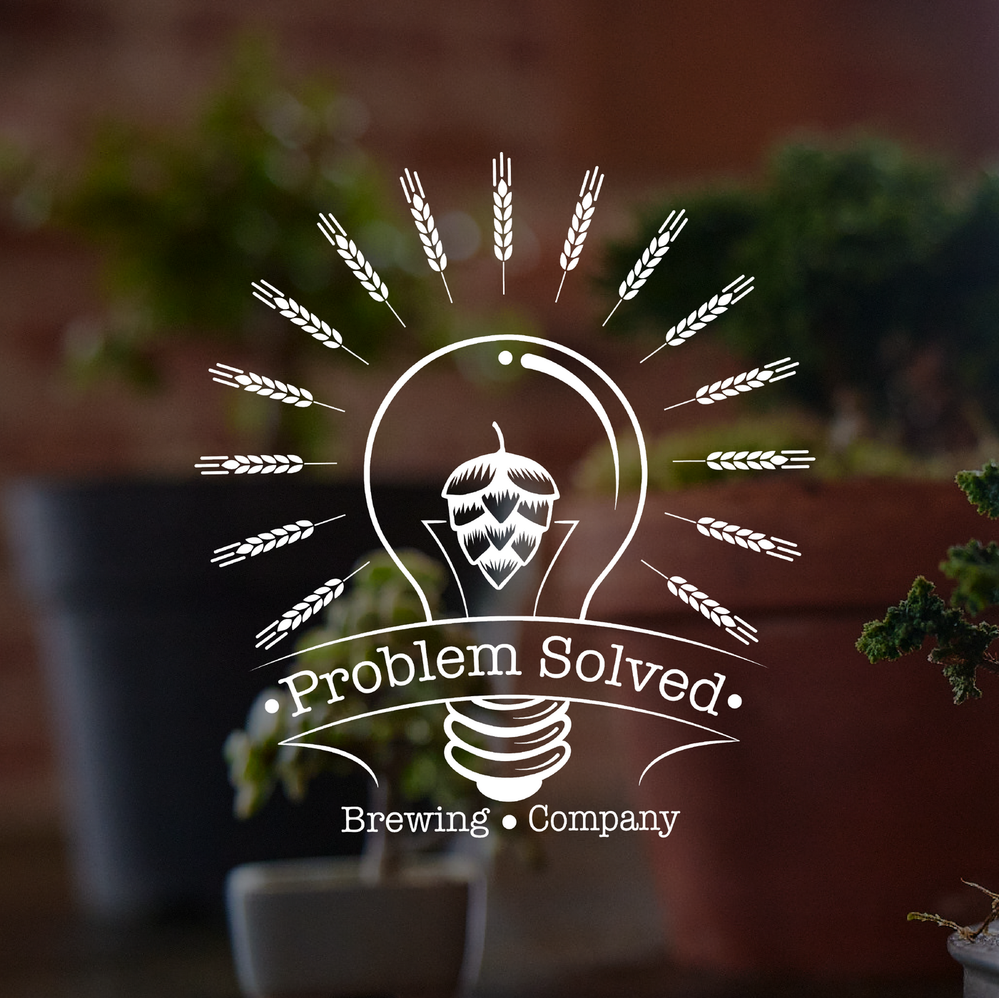 Problem Solved Brewing