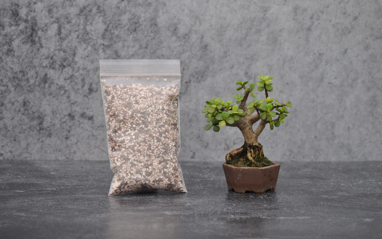 bonsai tree soil near me Bonsai Soil – Bonsai Bar