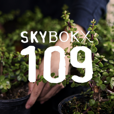 Skybokx 109