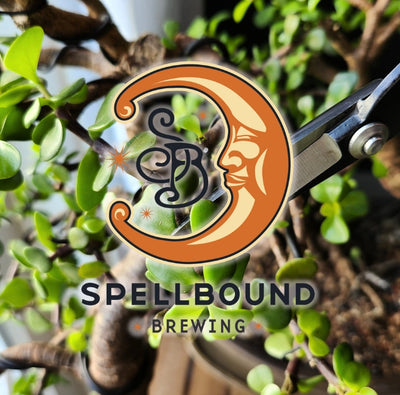 Spellbound Brewing
