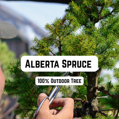 Liquid Therapy: Holiday Workshop