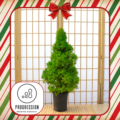 Progression Brewing: Holiday Workshop