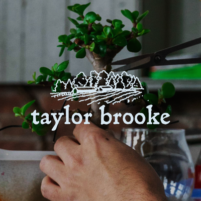 Taylor Brooke Brewery