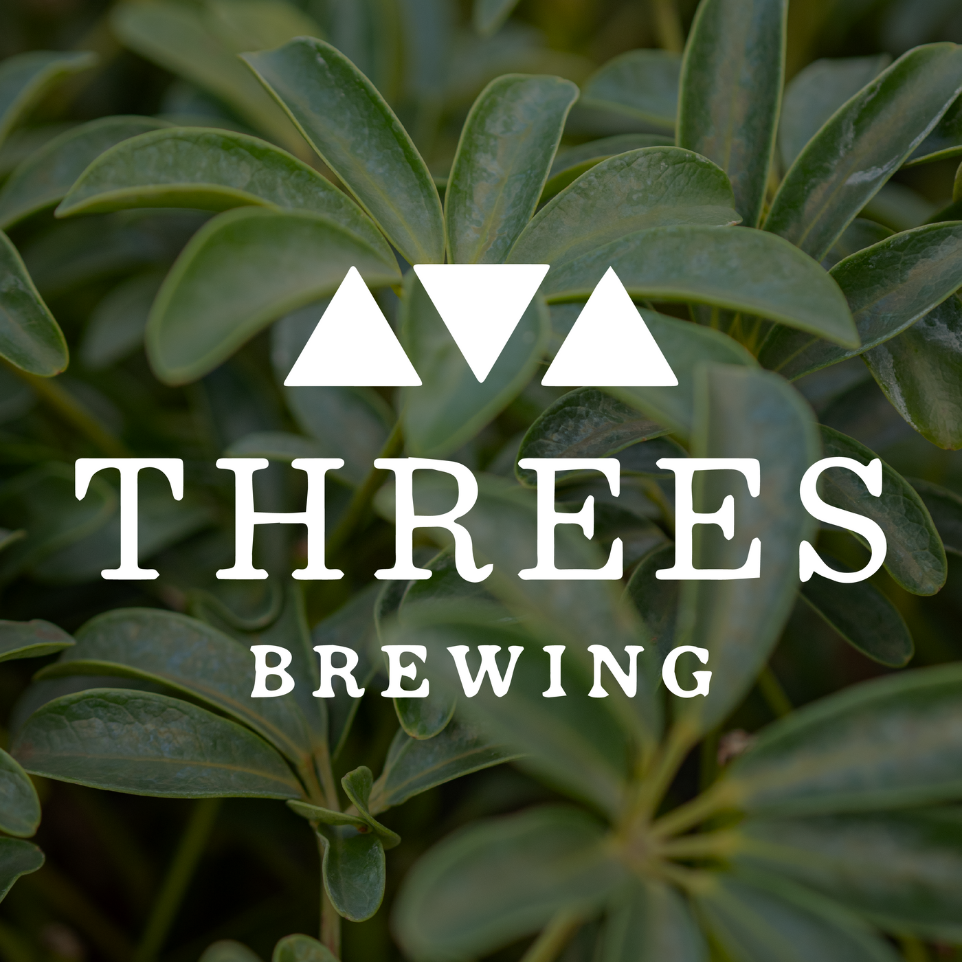 Threes Brewing - Gowanus