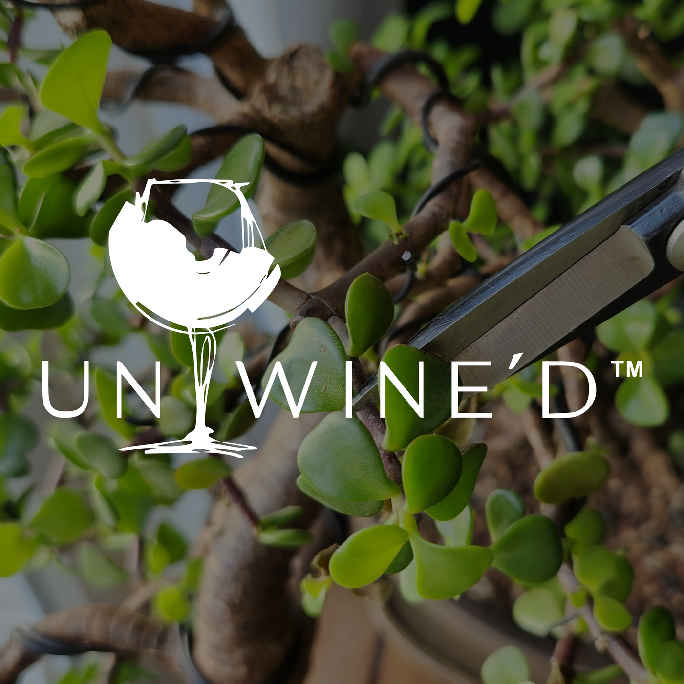 Unwine'd Wine Bar