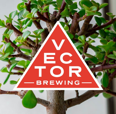 Vector Brewing