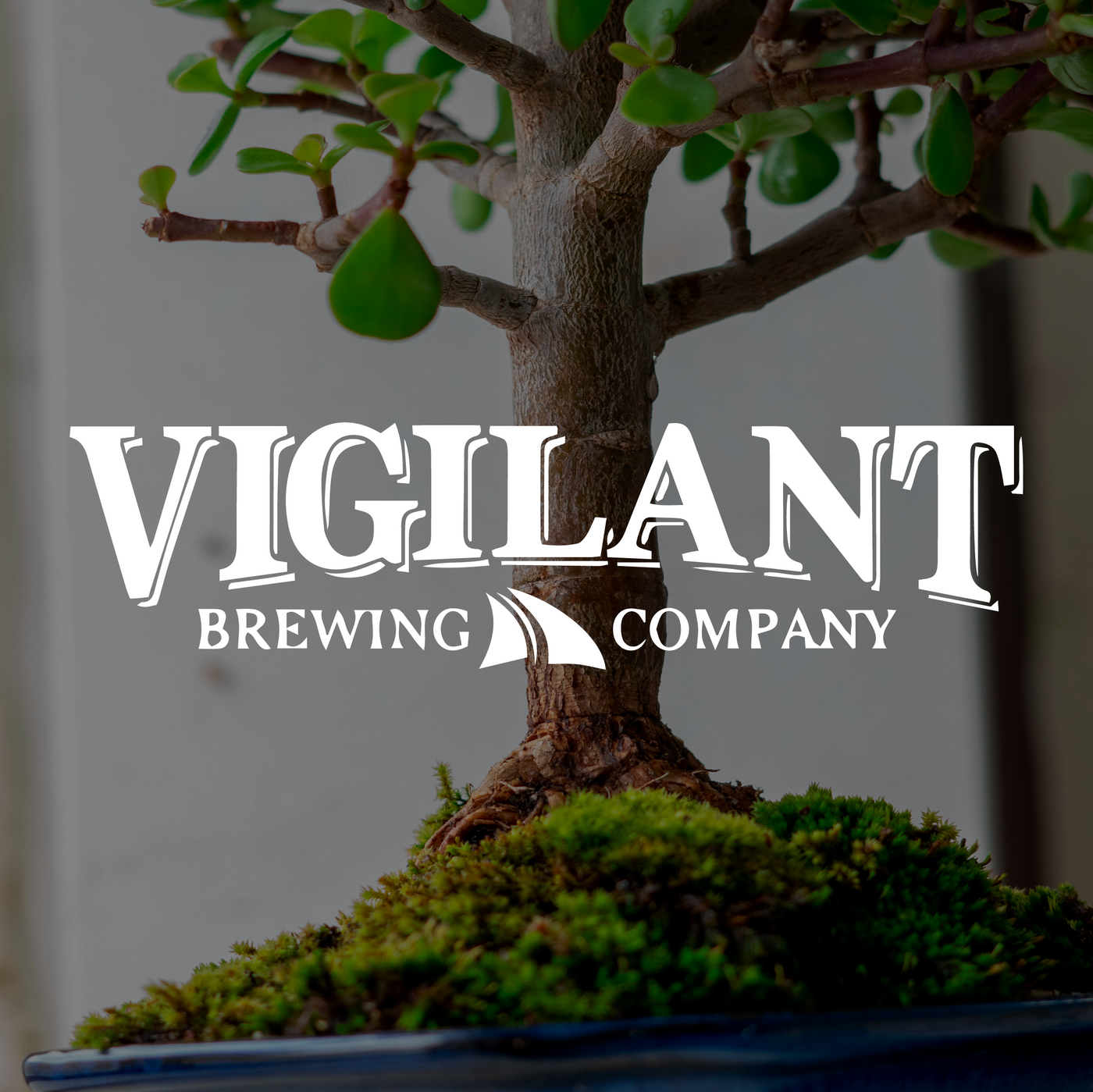 Vigilant Brewing Co.
