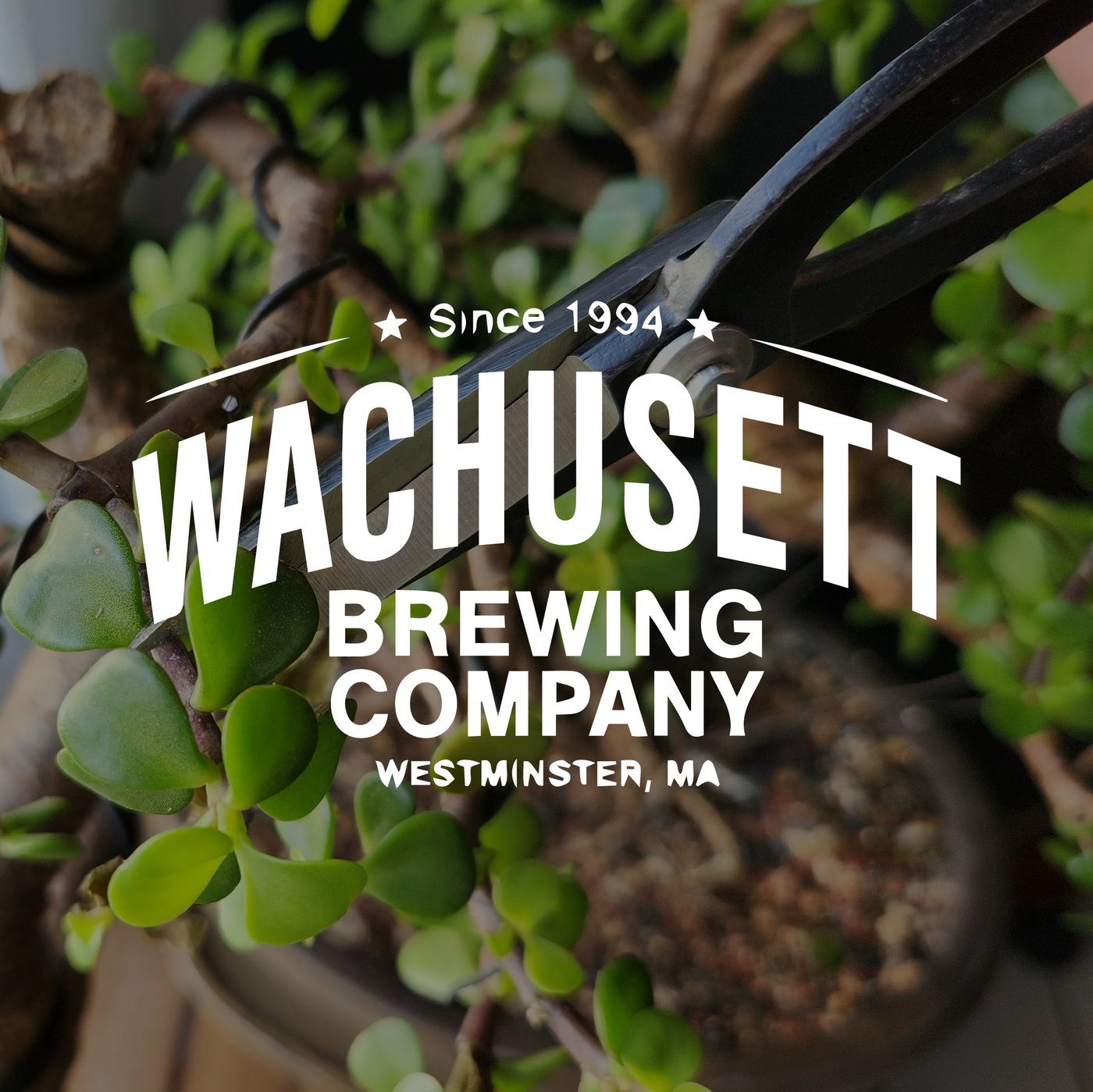 Wachusett Brewing Company - Westminster