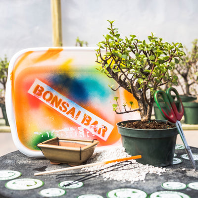 Off the Hook Bar & Grill