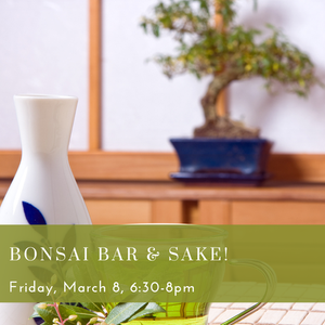 Bonsai Bar & Sake Tasting @ Commonwealth Wine School