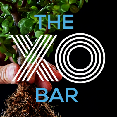 The XO Bar