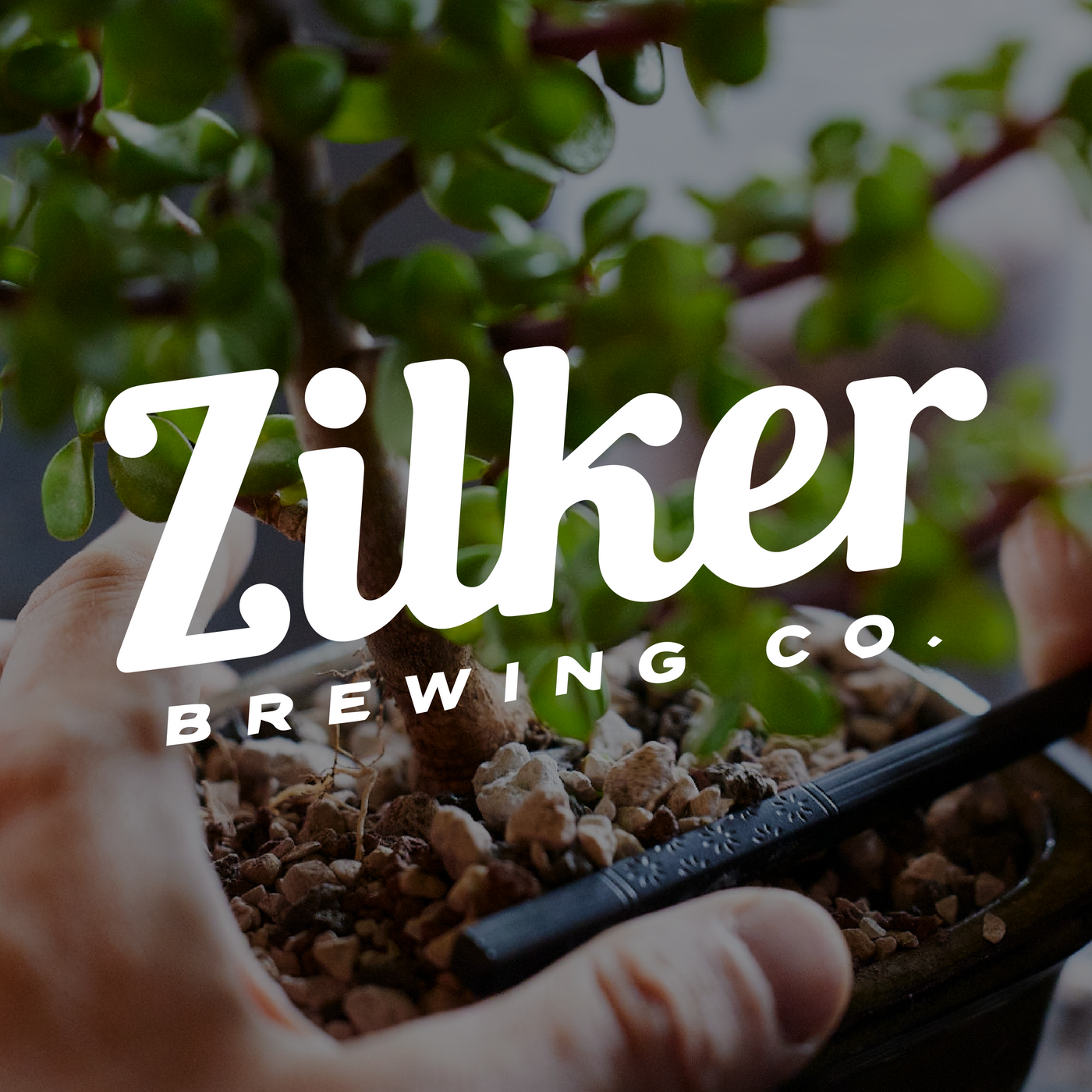 Zilker Brewing Company