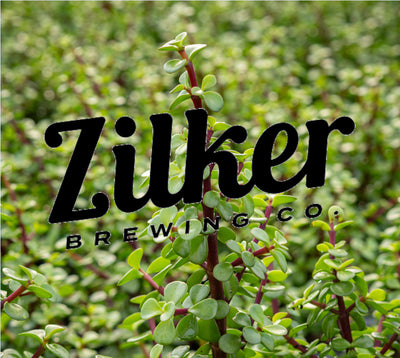 Zilker Brewing Company