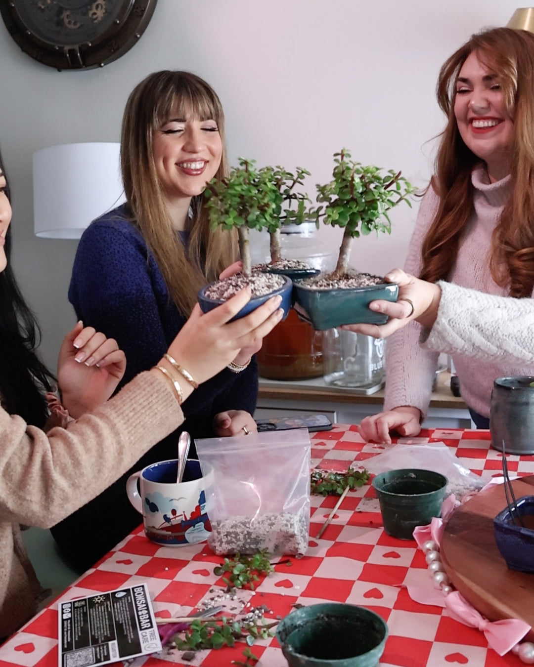 bonsai tree bar DIY Bonsai Bar Kit