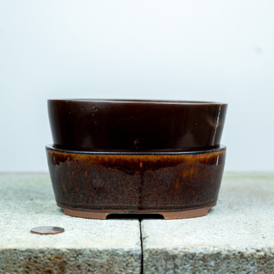 Oval Pot |  Willow Bonsai Ceramics