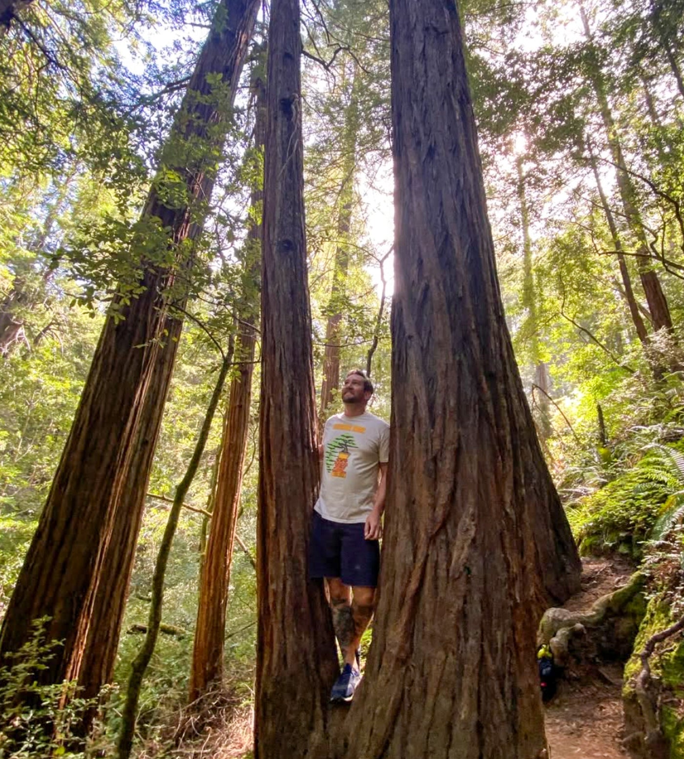 Cascade Tee (Natural)