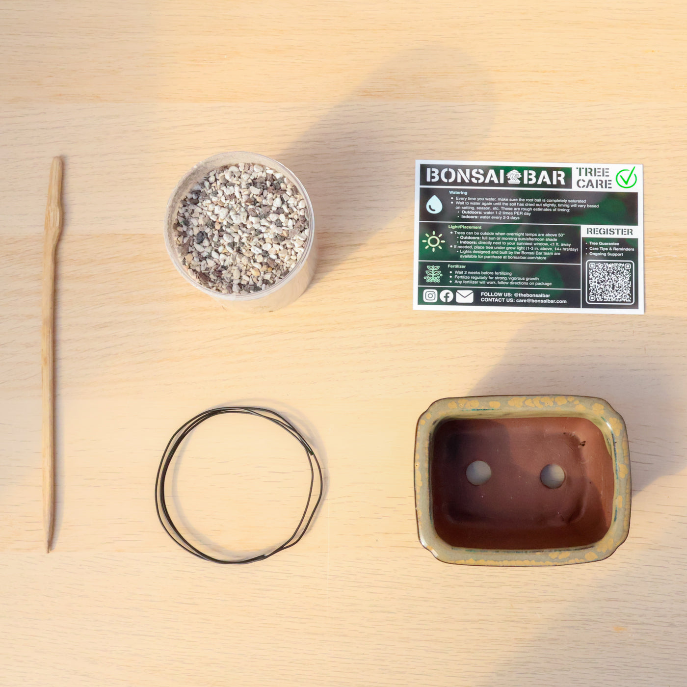 Homebrew Bonsai Kit: Eugenia – Bonsai Bar
