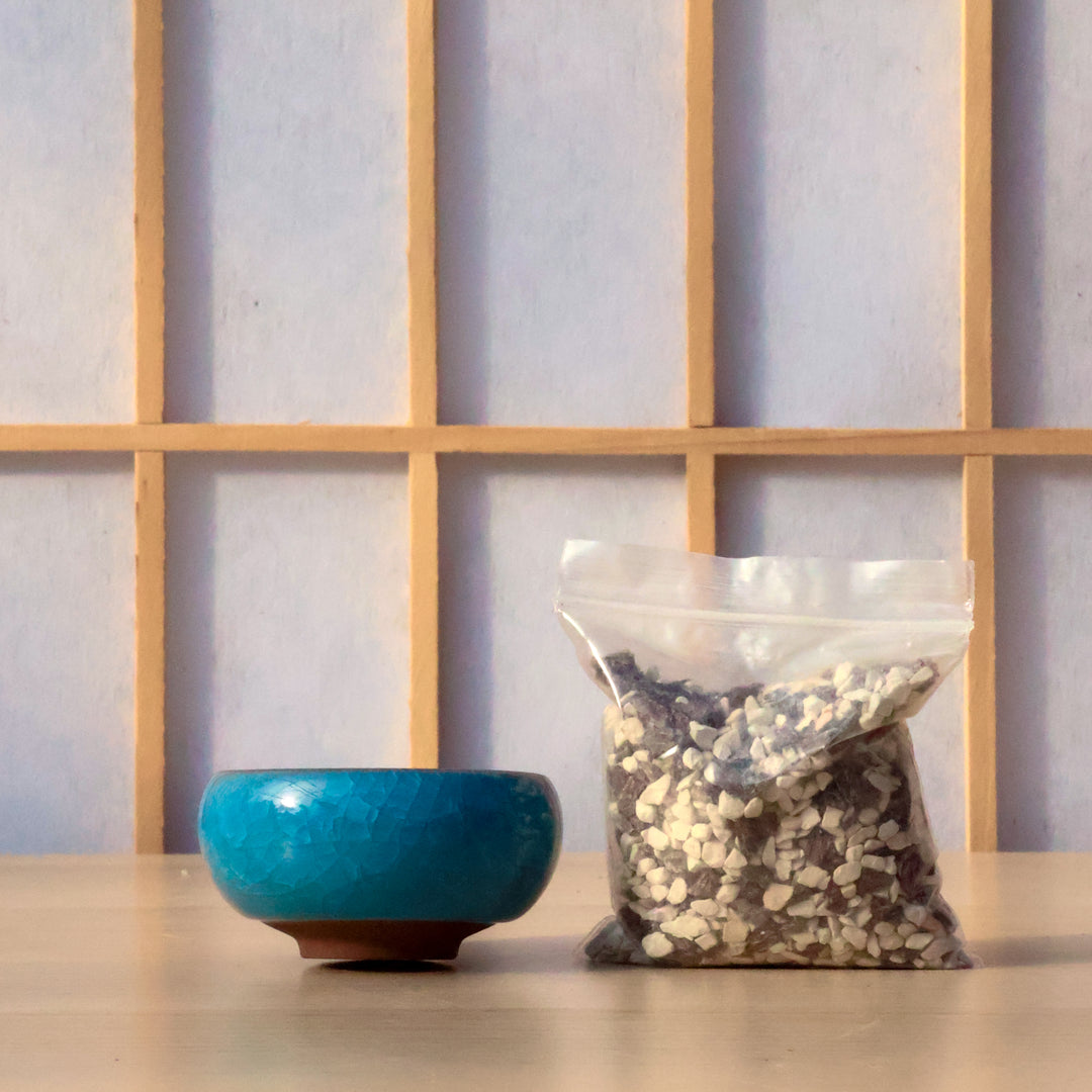 mamekichi2021マントルピース　ノブレスタイプ Mame Kit – Bonsai Bar