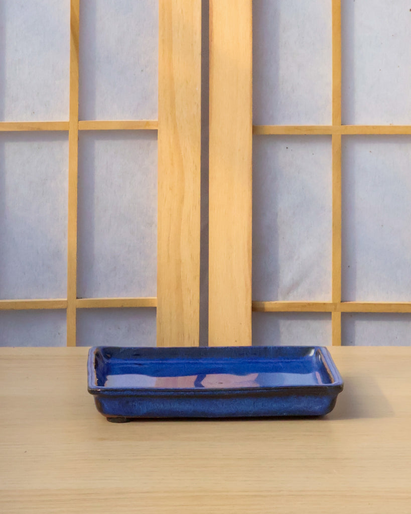 bonsai tree drip tray 6" Ceramic Drip Trays – Bonsai Bar