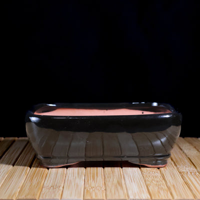 DIY 6” Repotting Kit