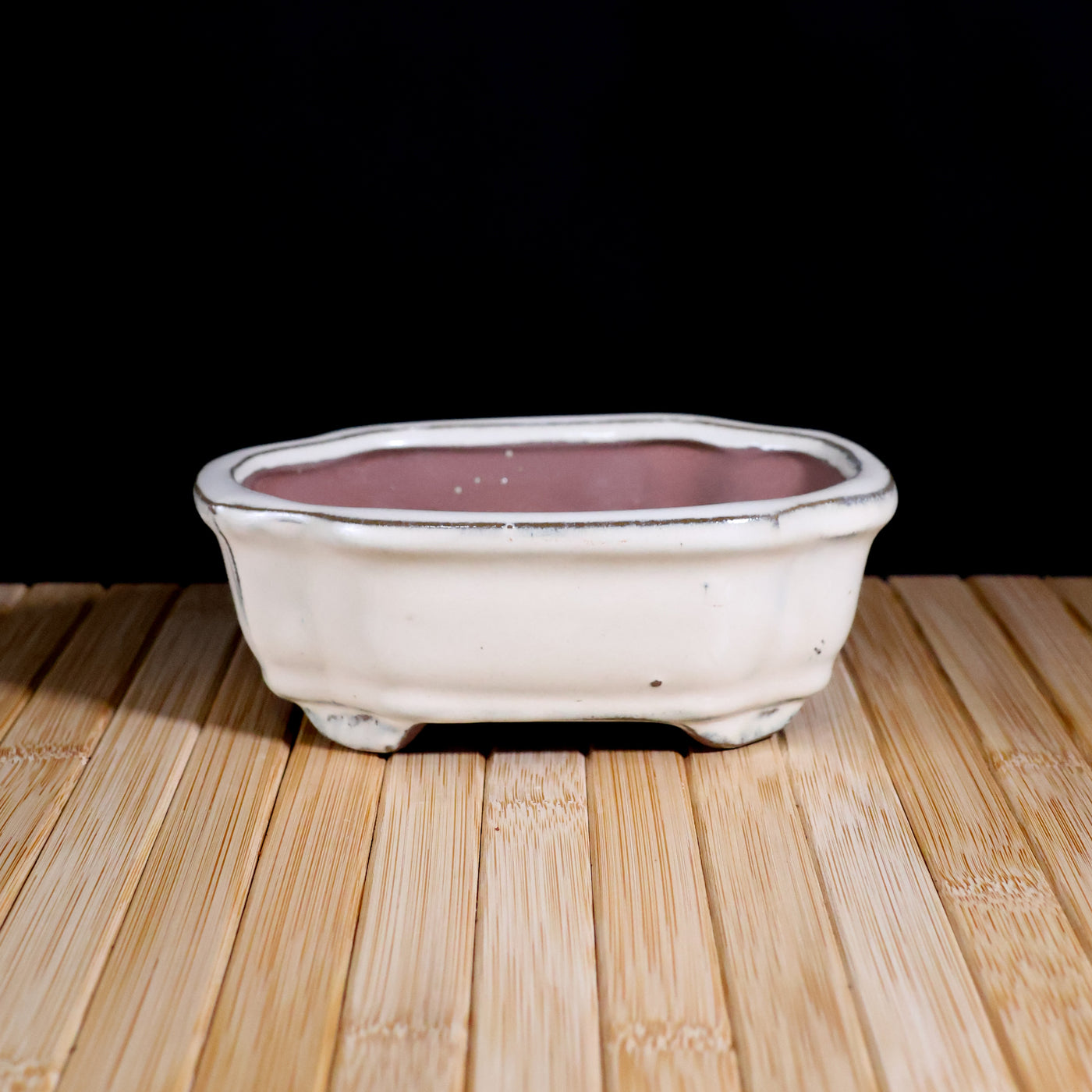 DIY 6” Repotting Kit