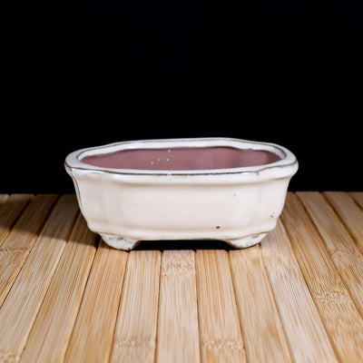 DIY 6” Repotting Kit