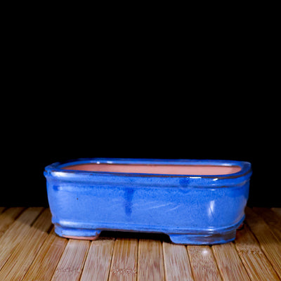 DIY 6” Repotting Kit