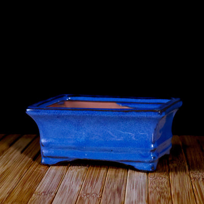 DIY 7” Repotting Kit