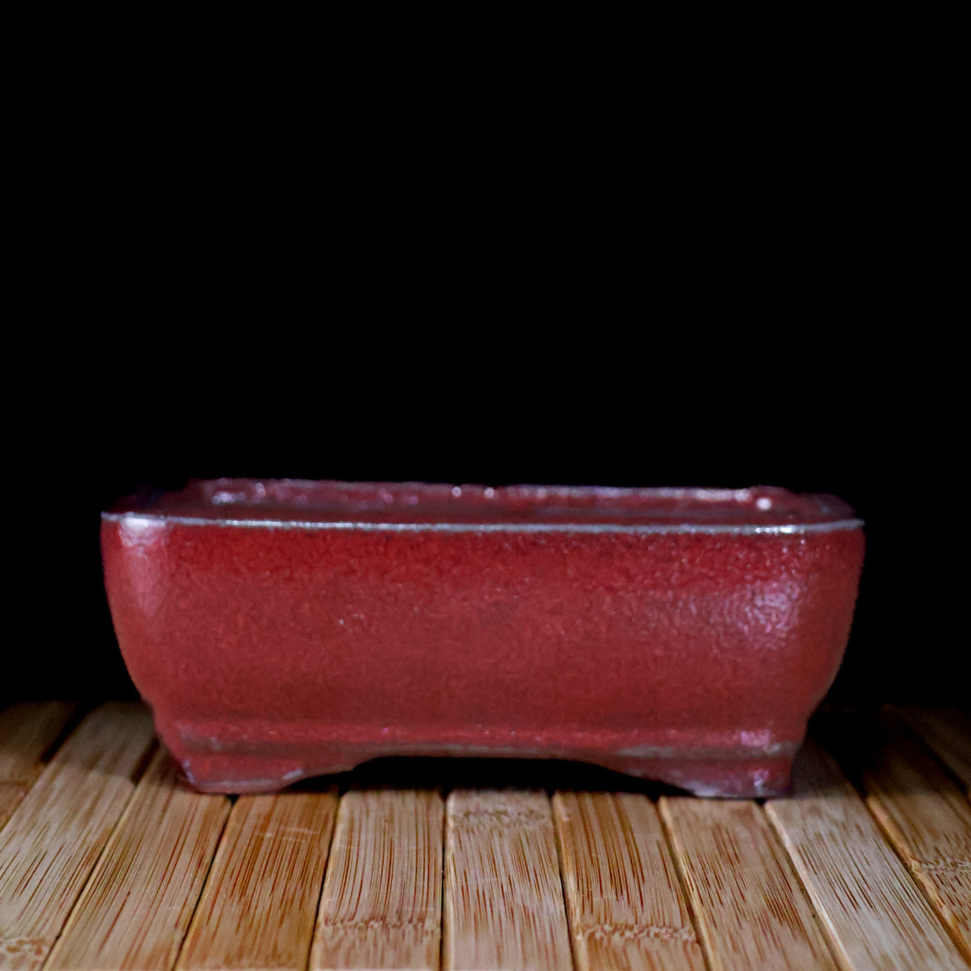 DIY 6” Repotting Kit