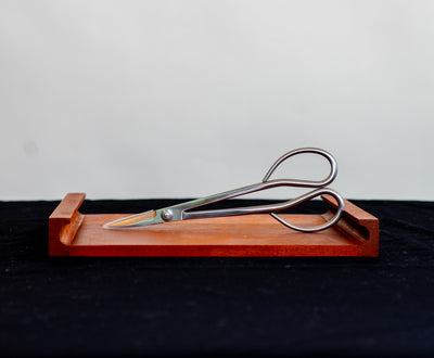 Stainless Steel Shears