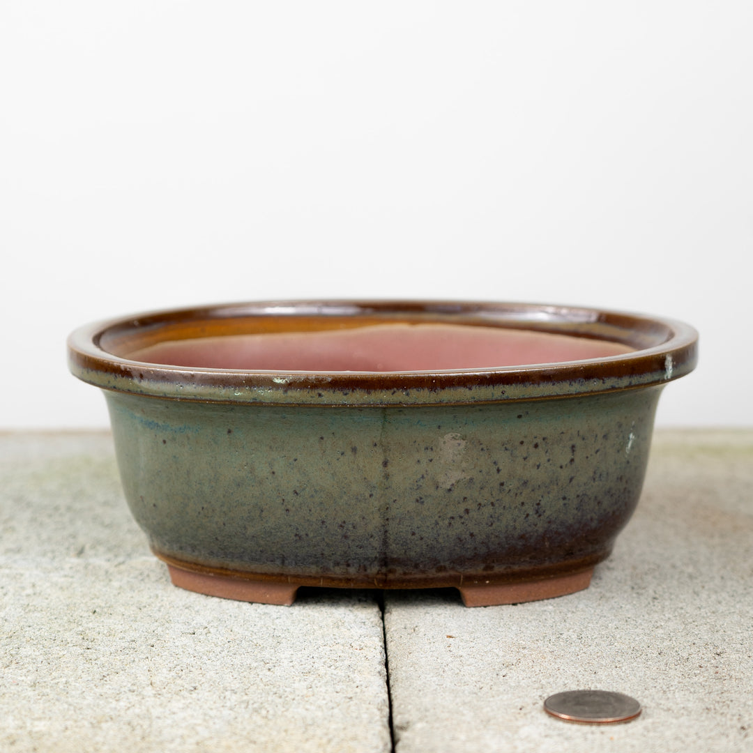 bonsai planter pots Fat Pot