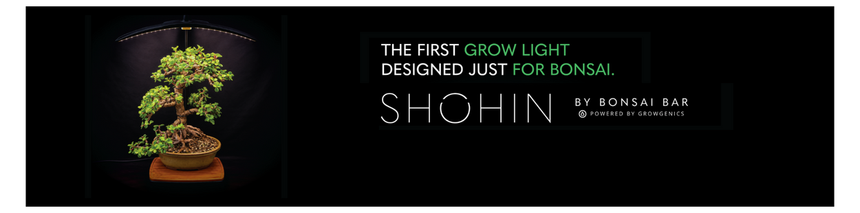 files/shohinbanner_3.png