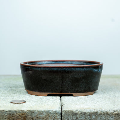 Oval Pot |  Willow Bonsai Ceramics