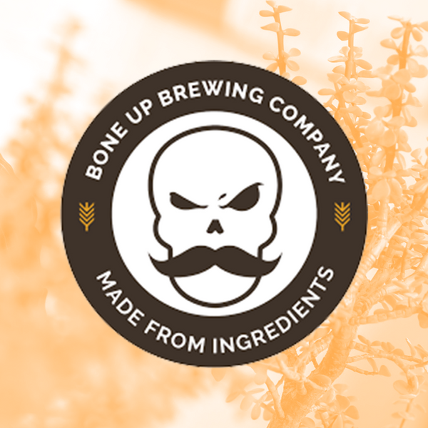 Massachusetts Bonsai Bar Events