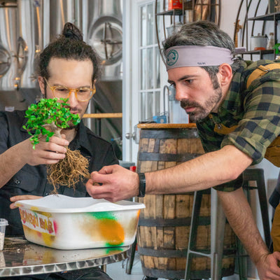 Bone Up Brewing Co.