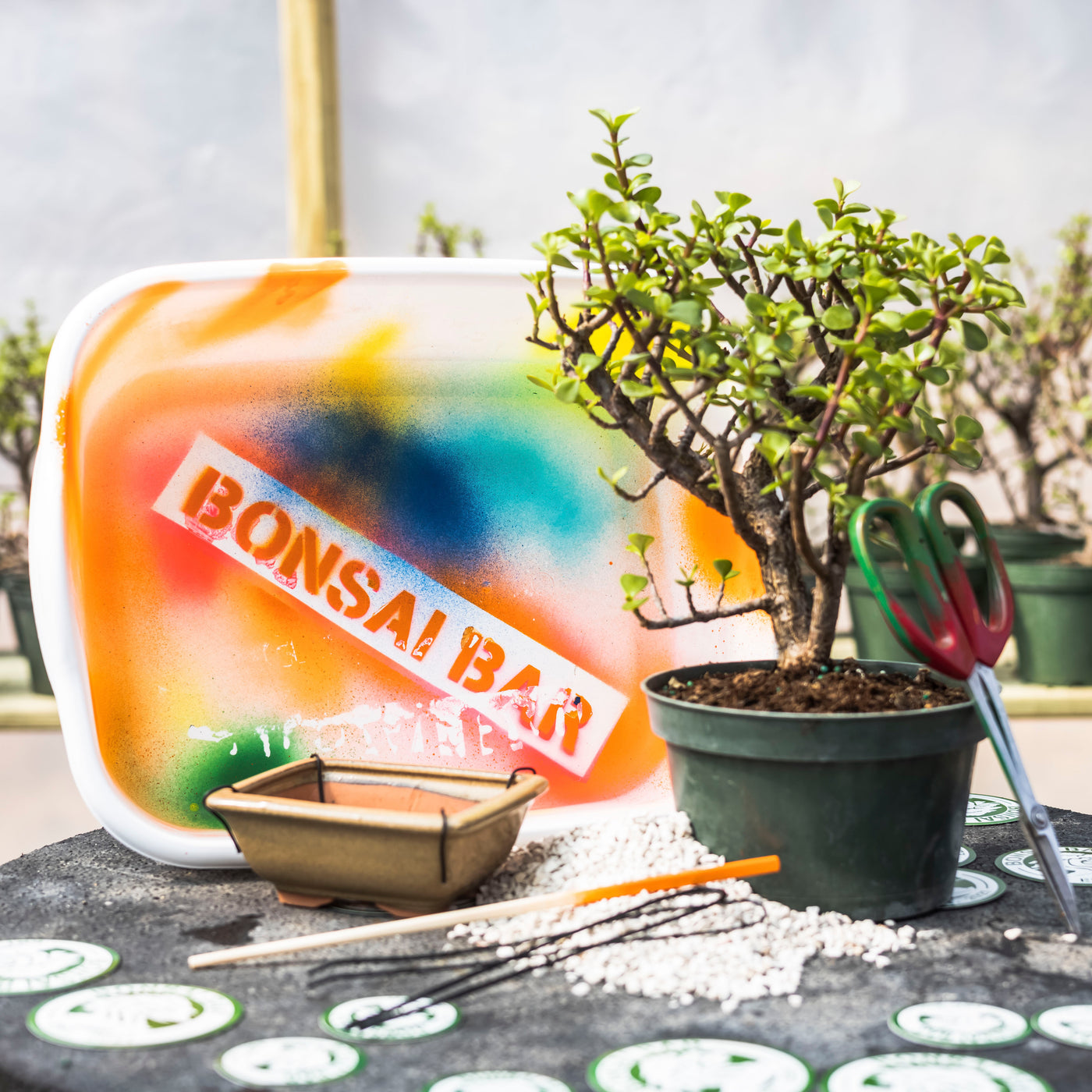send a bonsai tree gift Workshop Ticket- Gift Card – Bonsai Bar