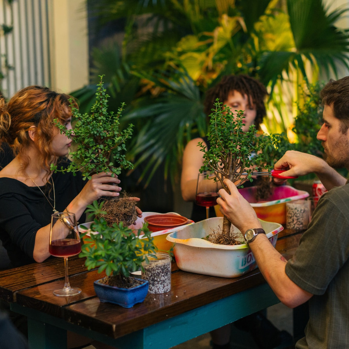 People shaping their bonsai trees at a Bonsai Bar workshop, drinks in hand